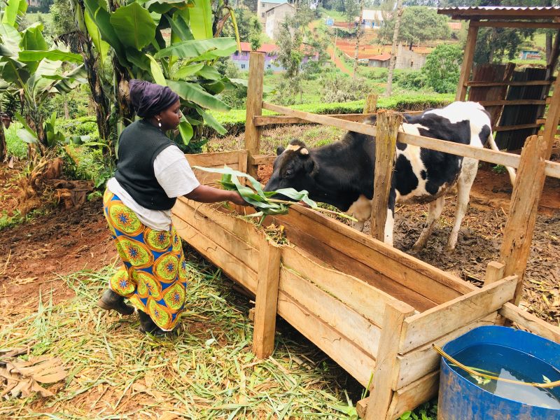 How Pioneer Child Development Programme Empowers Families through Nutrition and Economic Stability image