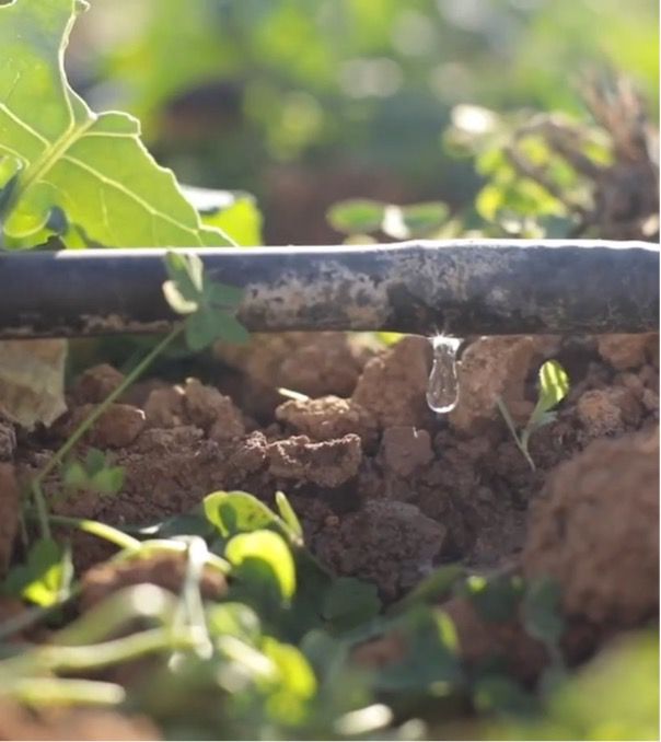 The Journey of a Drop image
